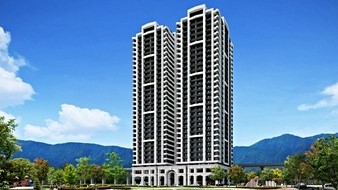 Portfolio Image 39