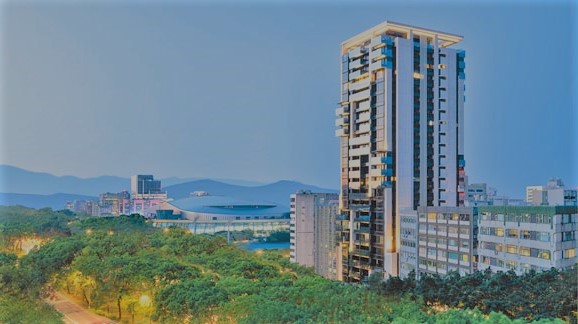 Portfolio Image 42