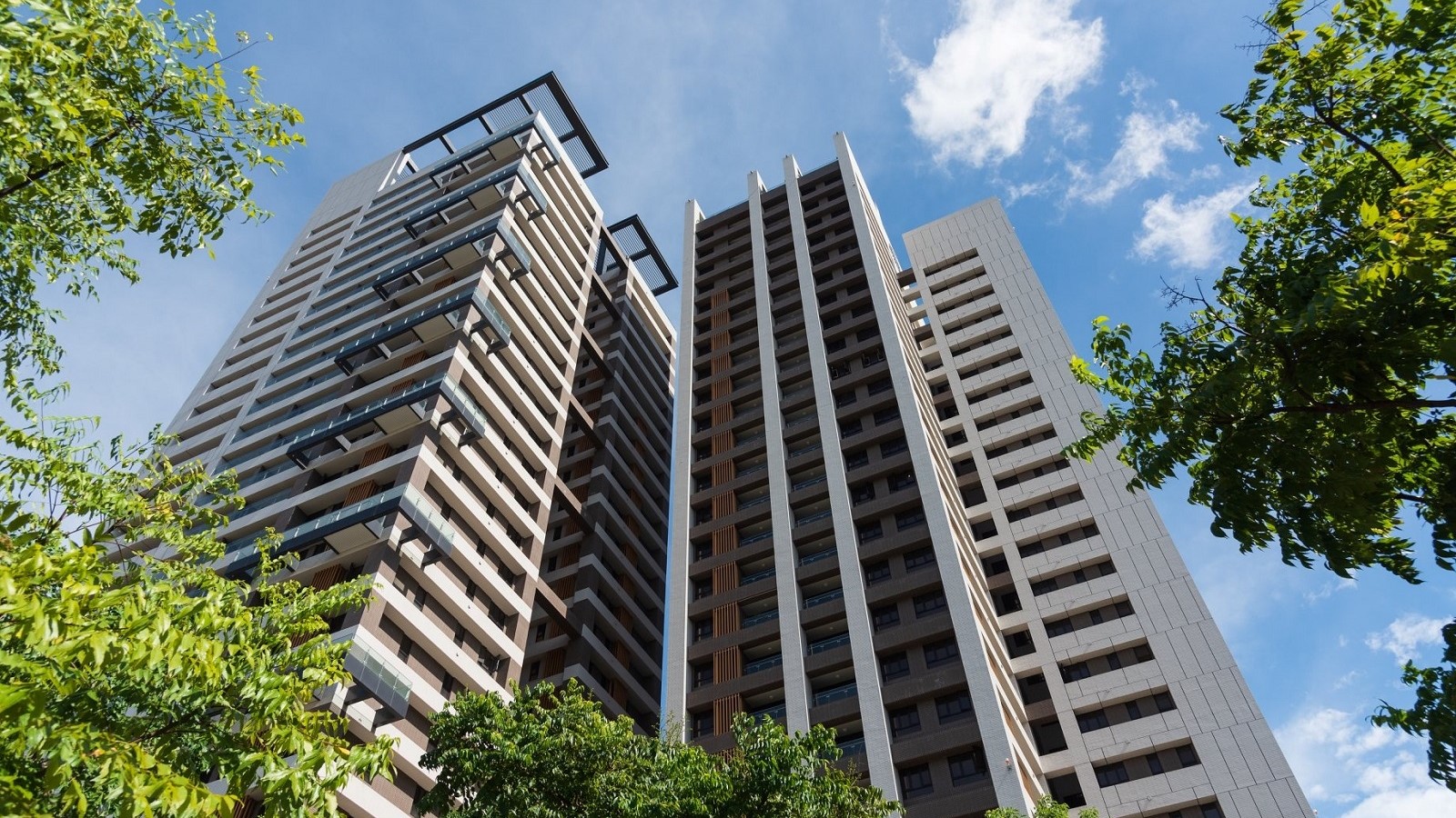 Portfolio Image 54