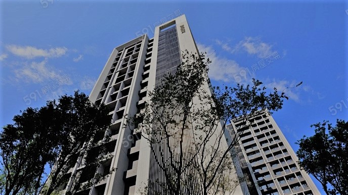 Portfolio Image 55